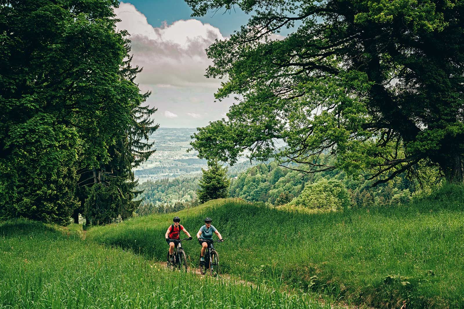 Die Aussicht vom Pfänder will erkämpft sein; mit dem E-Bike ist das aber ein Genuss.