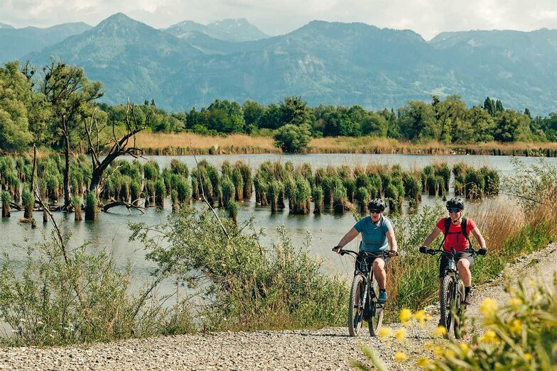Der Rheindamm bringt einen weit hinaus in den Bodensee, mitten durch eine wunderbare Wasserlandschaft.