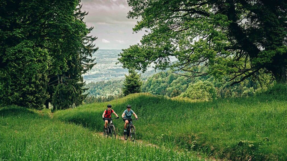 Bike-Tour: Pfänder